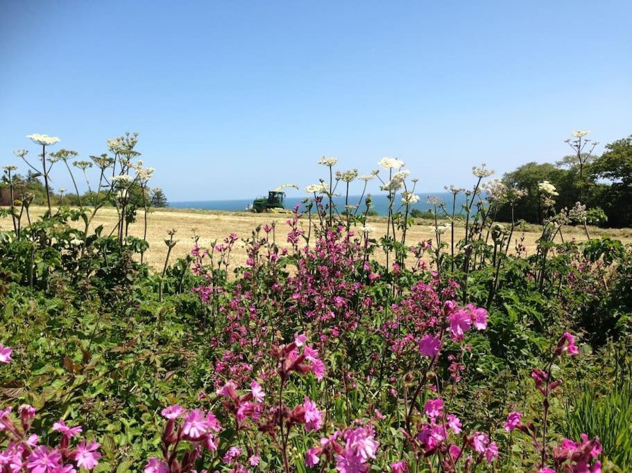 Little Bream - Pretty Cosy Cottage, Sea Views, Walk To The Beach Mawnan Smith Exterior foto