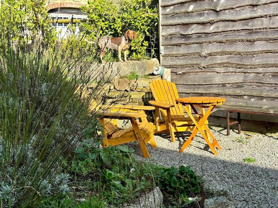 Little Bream - Pretty Cosy Cottage, Sea Views, Walk To The Beach Mawnan Smith Exterior foto